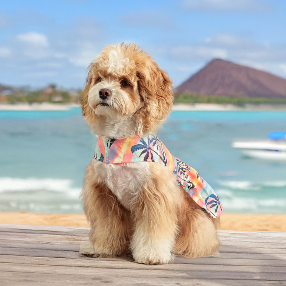 Beach Shirt Hawaiian - قميص هاواي للكلاب خفيف الوزن مناسب